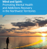 Mental Health and Addictions Strategic Plan